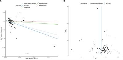 Investigating the association between fasting insulin, erythrocytosis and HbA1c through Mendelian randomization and observational analyses